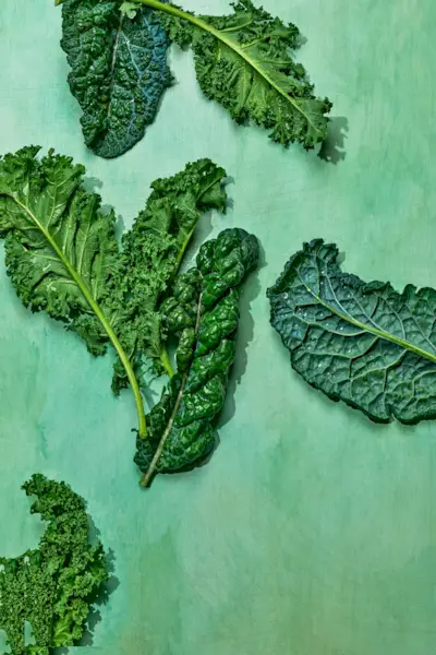 Your Anti-Inflammatory Diet PDF Guide