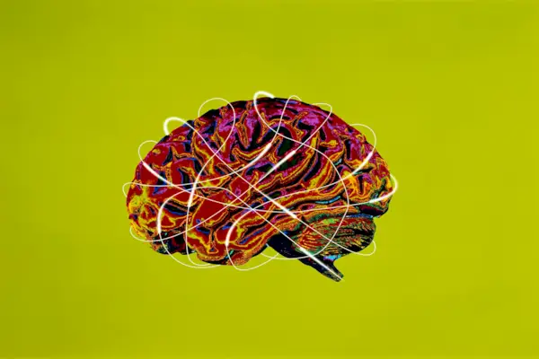 Human brain, side view (Digital Composite)