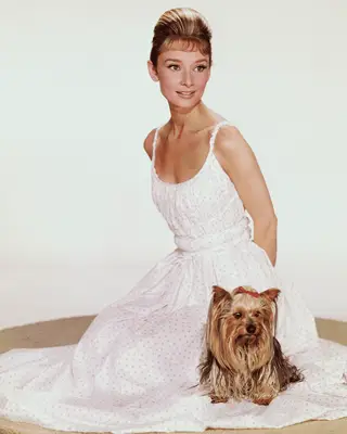 Audrey Hepburn