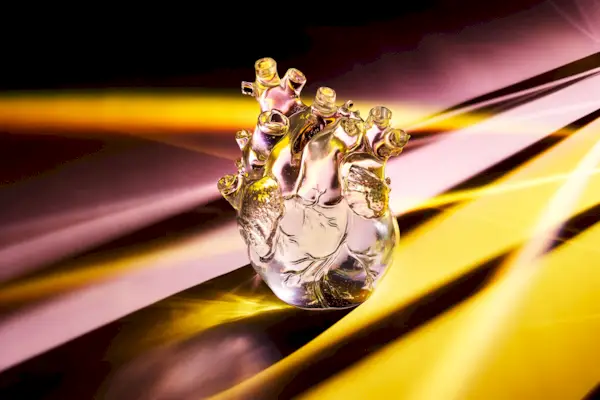 This Heart Attack Targets Young, Active Women