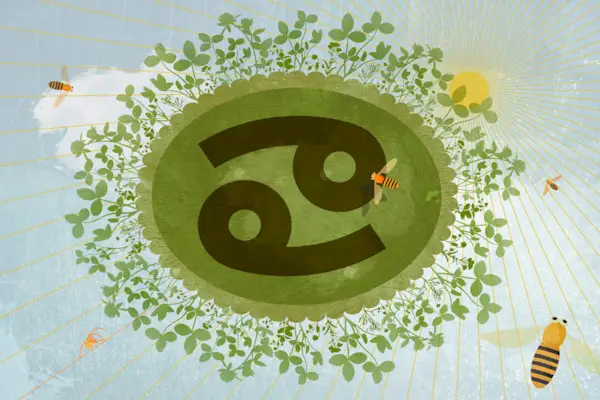 Astrological sign of Cancer