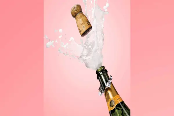 Every Type Of Marriage, Modern And Traditional