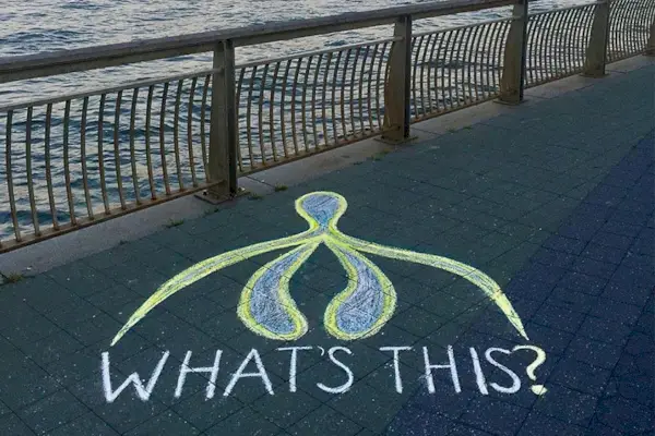 This Woman Is Drawing Clitorises Everywhere