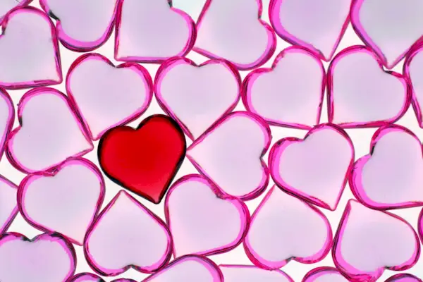 One Red Heart, Many Pink Hearts