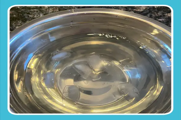 Vyzkoušel jsem ledovou vodu na obličej od Jennifer Aniston a tady je to, co se stalo