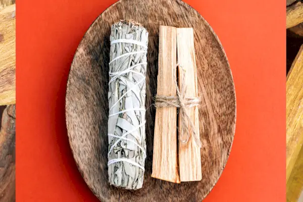 Palo Santo Is The Latest Trending Wellness Scent