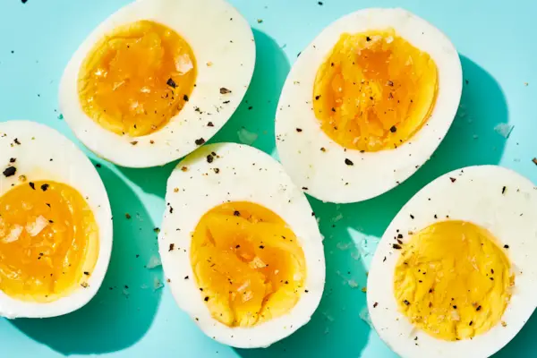 The Protein Playbook You Need In Your Life