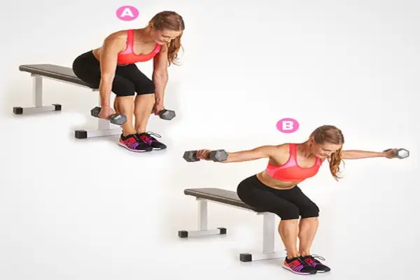 Reverse Dumbbell Fly