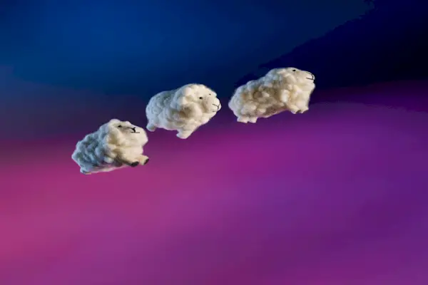 How To Determine Your Sleep Chronotype (And Why!)