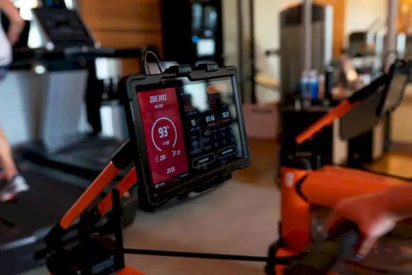 ¿Qué es la teoría naranja y por qué la gente está tan obsesionada con ella?