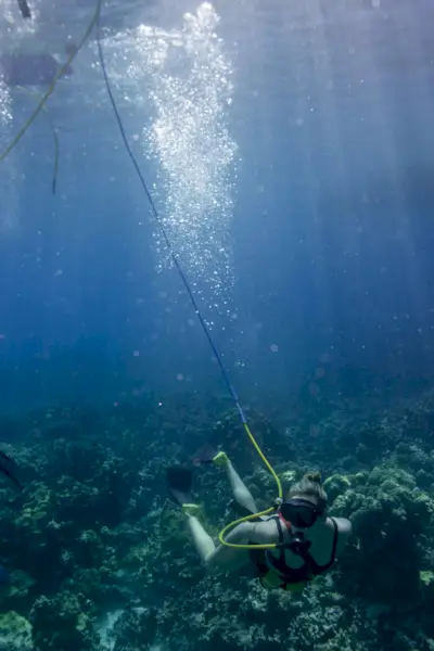 apple watch ultra vs serie 8