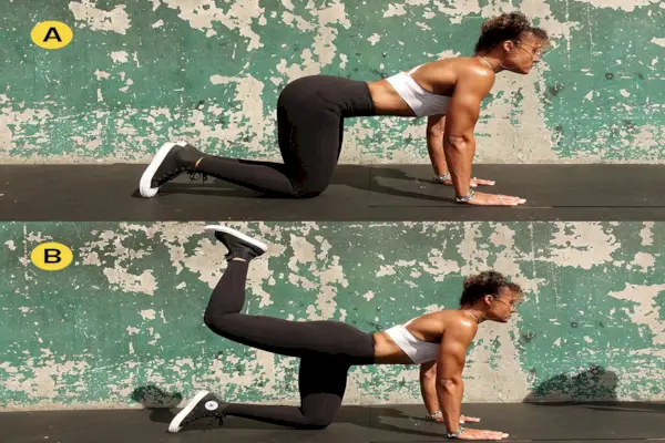 Idoneità fisica, Braccio, Gamba, Allenamento della forza, Muscoli, Articolazioni, Spalle, Cosce, Affondi, Gamba umana,