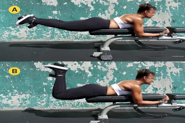 Idoneità fisica, braccio, attrezzatura per esercizi, muscoli, torace, allenamento per la forza, esercizio, pesi, gamba, manubri,