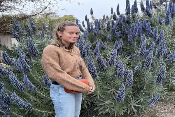 Brie Larson blinker sine sekspak-mavemuskler i en brystvortebar top på nye billeder