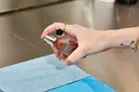 A person sprays Viktor & Rolf Flowerbomb onto fabric