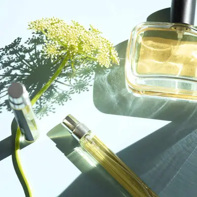 O que é Galbanum e como ele cheira?