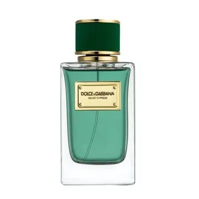 Dolce & Gabbana velvet cypress
