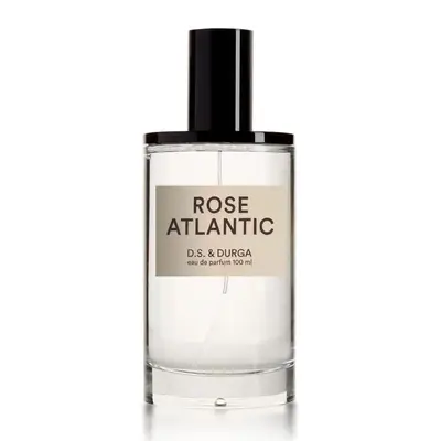 Rose Atlantic on white background