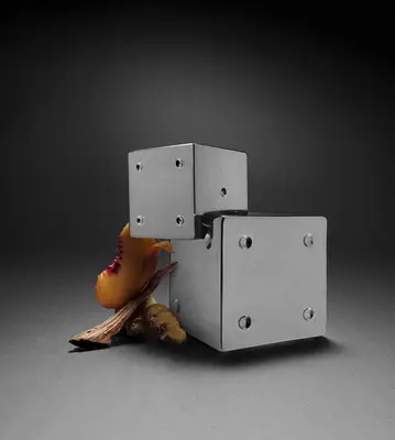 Billie Eilish Your Turn Fragrance