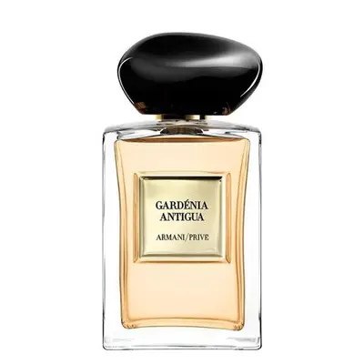 gardenia antigua giorgio armani