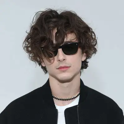 Timothee Chalamet with draped, shaggy curls
