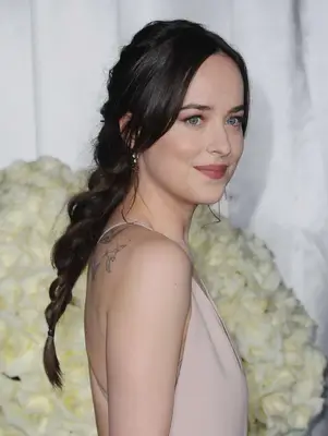 Dakota Johnson with loose, casual a braid down her back
