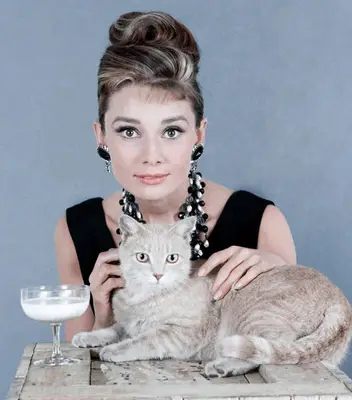 Audrey Hepburn