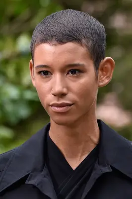 Short Hairstyles: Dilone short hair