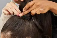 Barely Extensions Ponytail