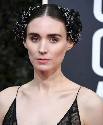 Rooney Mara accessorized sleek dark brown updo 