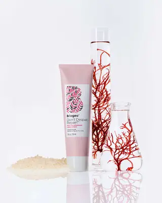 Product Image of Briogeo