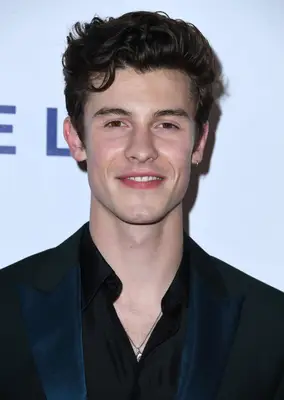 shawn mendes