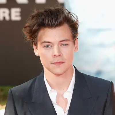 Wavy Hairstyles for Men Pompadour Harry Styles