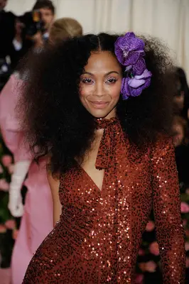 Zoe Saldana with brushed out curls