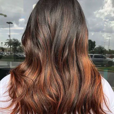 Coppery bronze highlighted hair viewed from back