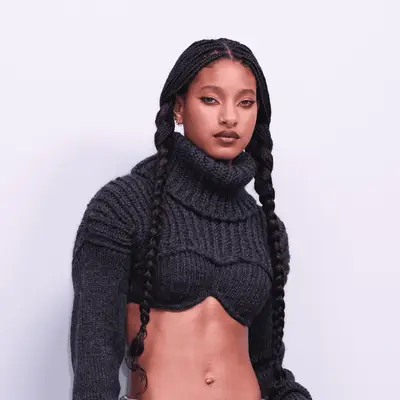 Willow Smith wearing long braided pigtails 