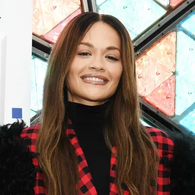 Rita Ora wears ash-brown hair color all over with dyed brows to match