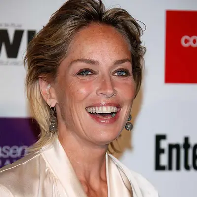 sharon stone with feathered swept-back shullet