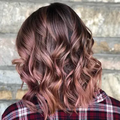 Chocolate Mauve Hair Highlighted
