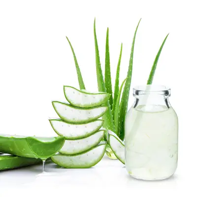 Aloe vera plant, gel, and juice