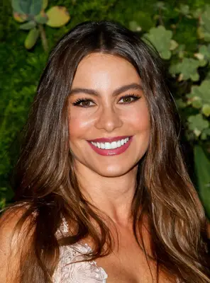 Sofia Vergara long, glossy brown hair