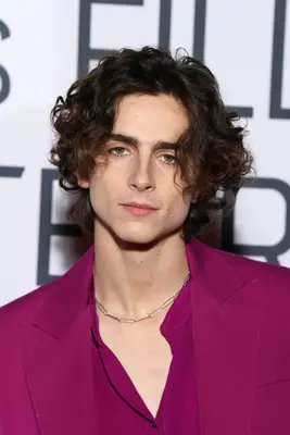 Timothée Chalamet with curly hair 