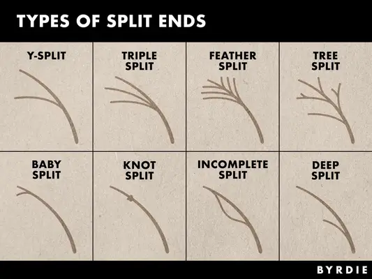 The different types of split ends