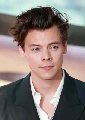 HARRY STYLES