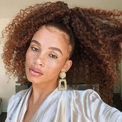 Ponytail Hairstyles Natural