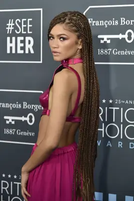 Zendaya wearing leg-length braids