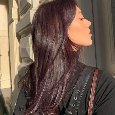 Plum Hair Color Subtle Brown Hair Overtone