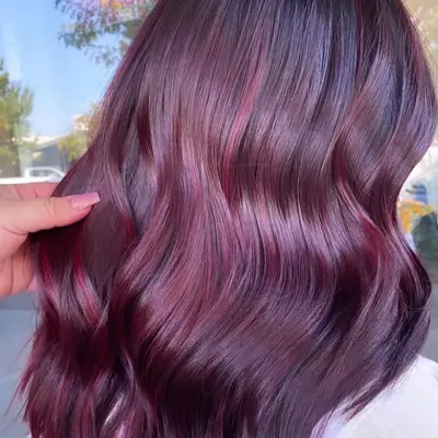 Plum Hair Color Malbec