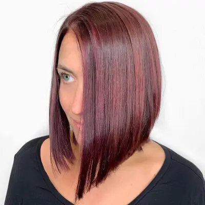 Plum Hair Color Highlights Lowlights