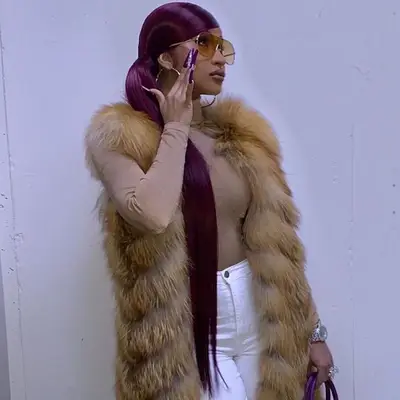 Plum Hair Color Ponytail Cardi B